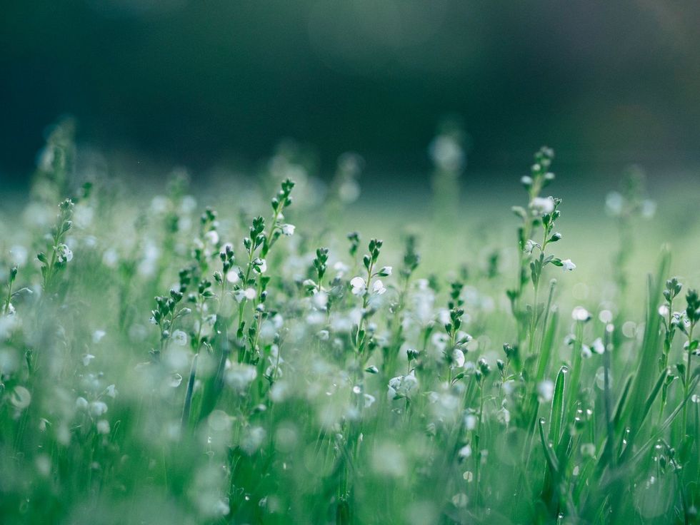 Spring flower names are extremely popular for babies.
