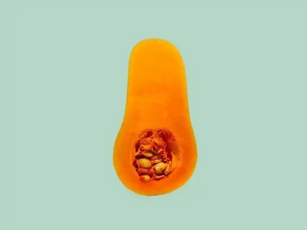 Squash facts will make you want to eat the fruit of the squash tree!