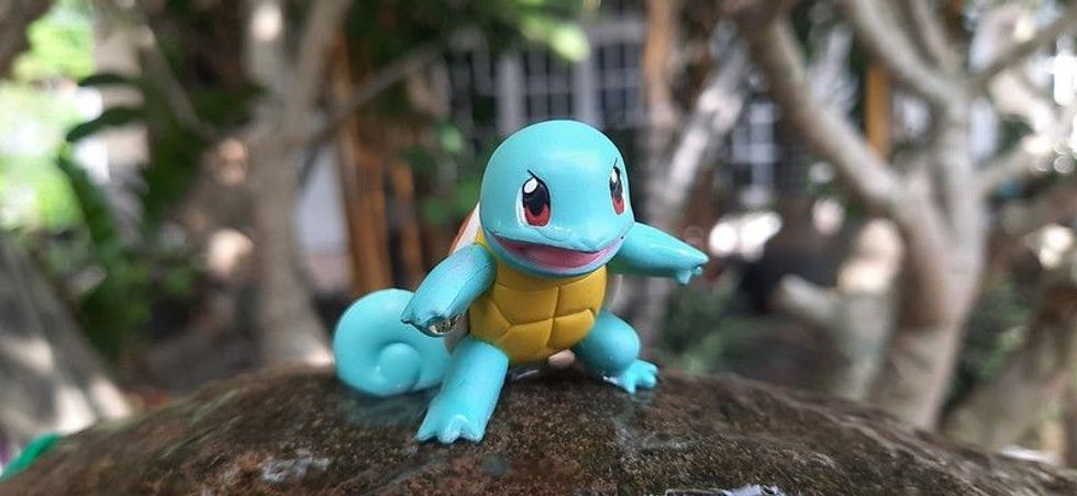 Squirtle standing on a rock.