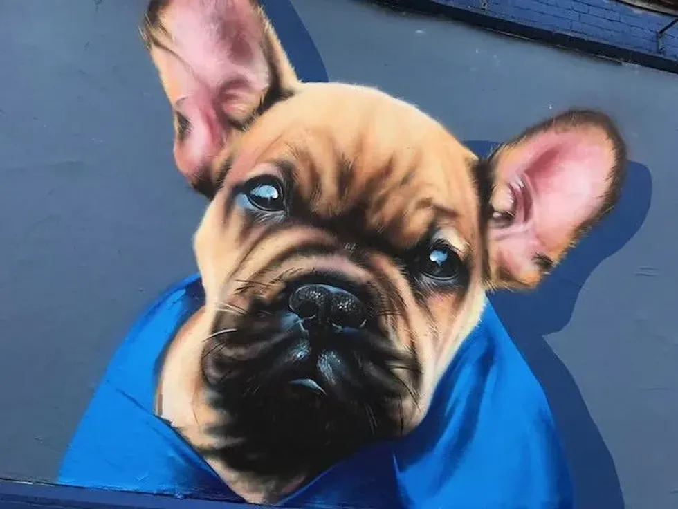 Staring dog street art.
