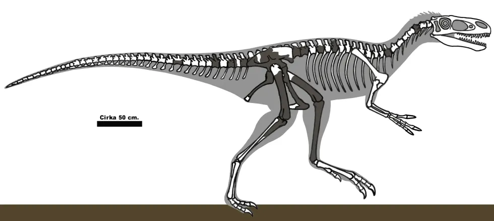 Stokesosaurus facts are amazing.