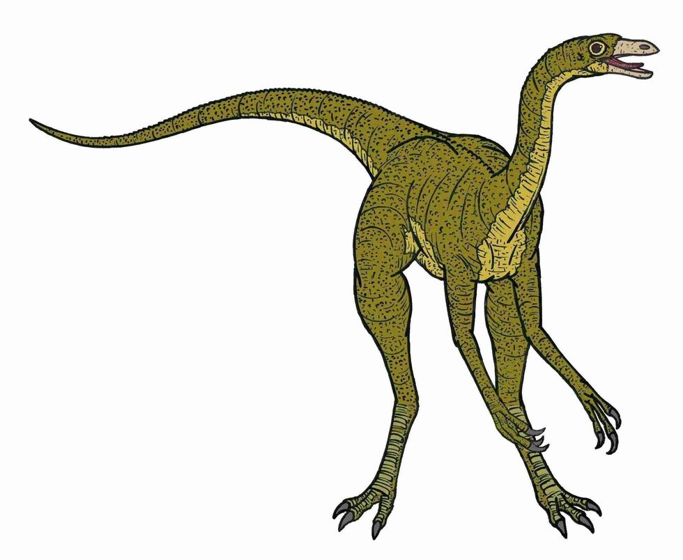 Struthiomimus is believed to have been found in modern day North America.