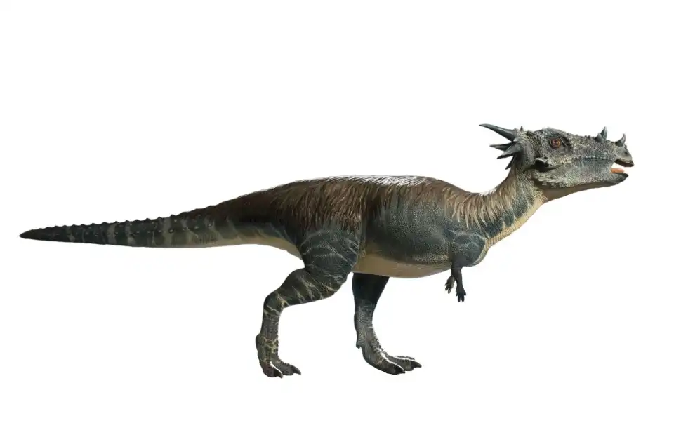 Stygimoloch facts are interesting.