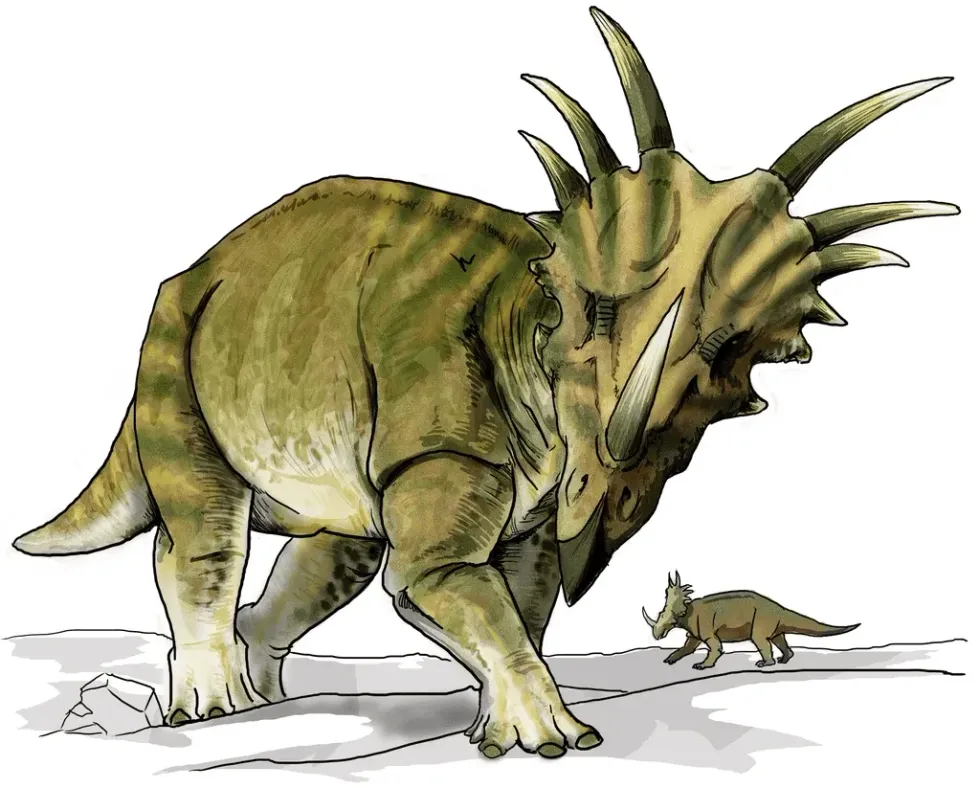 Styracosaurus facts are about a dinosaur with neck frill from 75 million years ago.