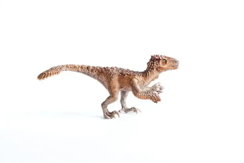 Syntarsus facts include that its name, 'Syntarsus' was first reported by Raath in 1969