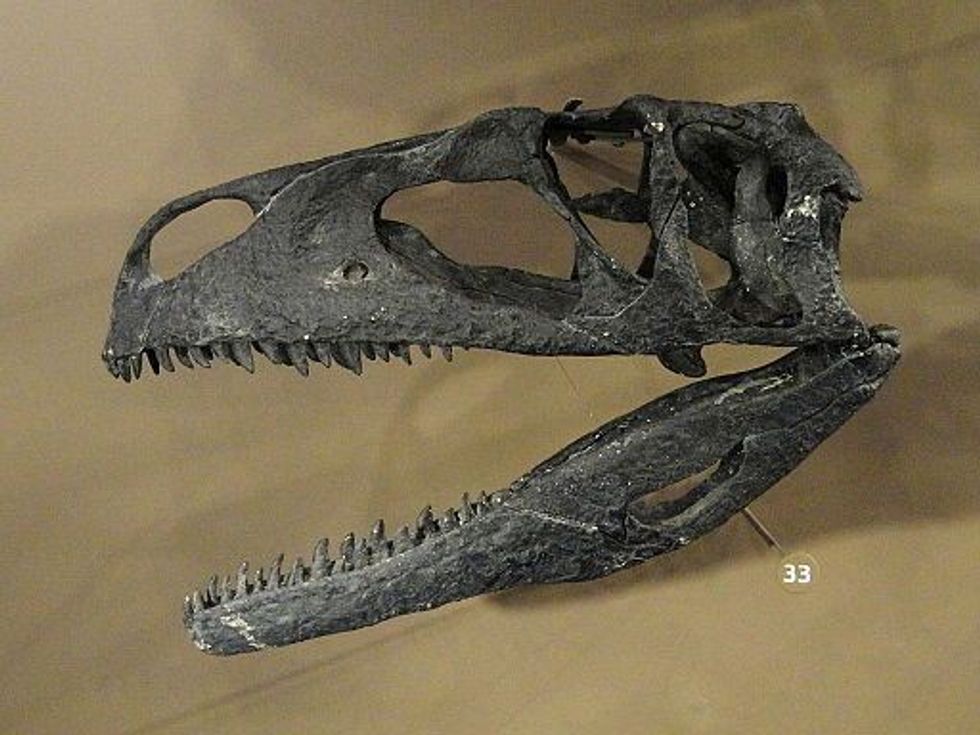 Tanycolagreus facts let you know about the length of the dinosaur.