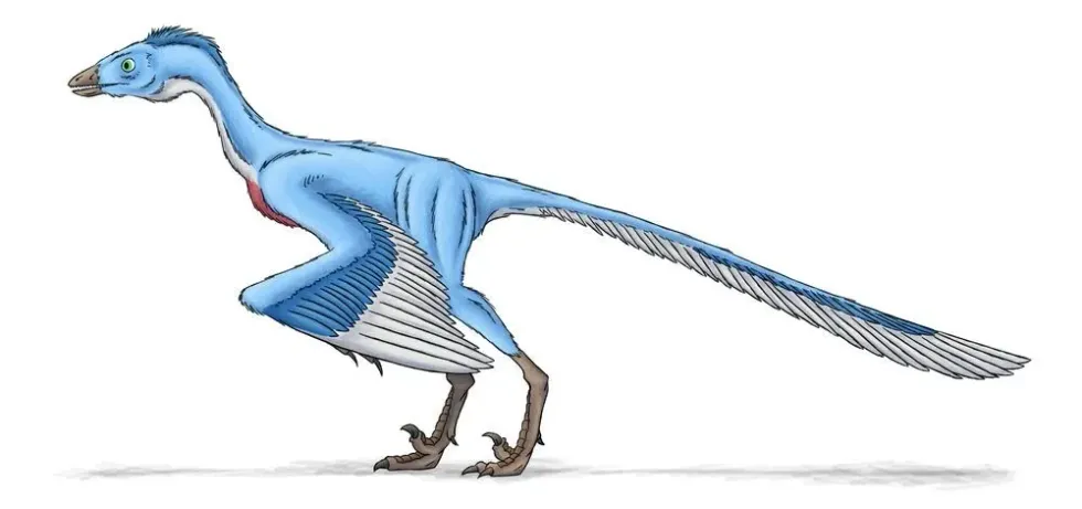 Teinurosaurus facts talks about this theropod dinosaur taxonomy of the Late Jurassic Period.