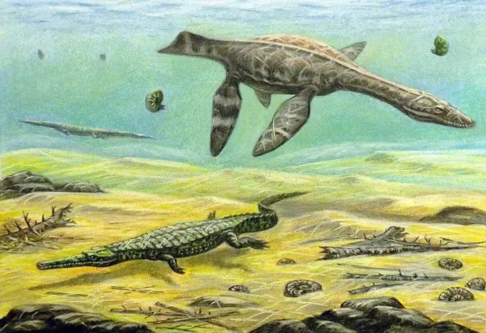 Teleosaurus facts can fascinate everyone.