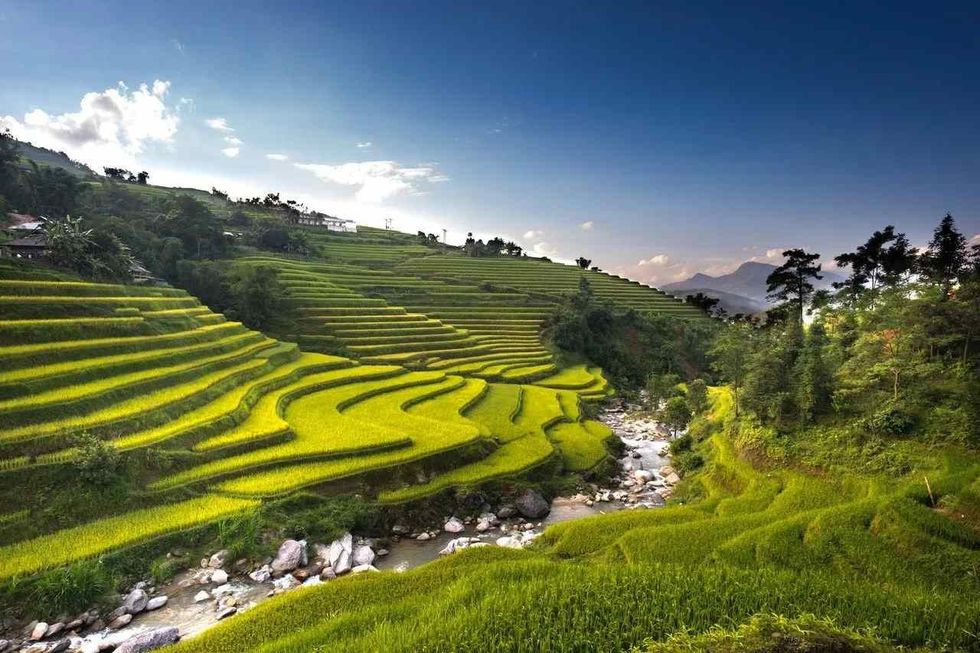 Terraced farming is when steep slopes