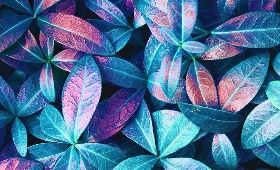 What Color Does Blue And Purple Make? Colorful Facts For Kids Kidadl