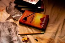 The Alchemist written by Paulo Coelho