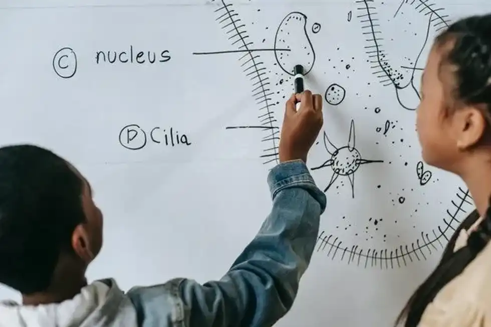 The article on animal and plant cells will provide informative facts in a simplified way.