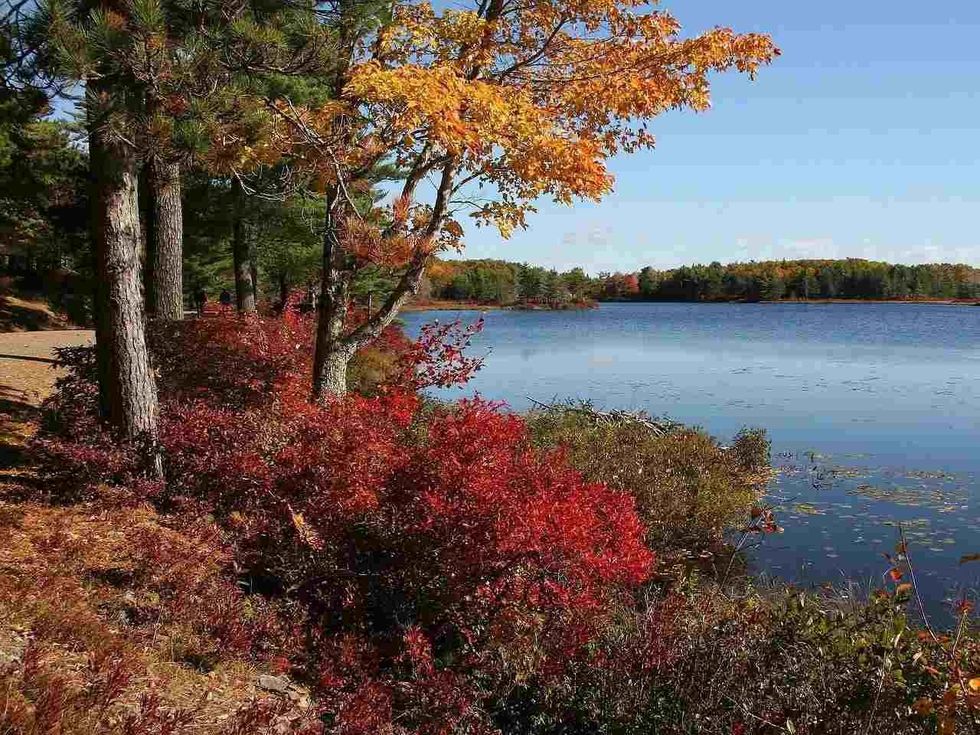 13 Acadia National Park Facts: Its Biodiversity, Importance And More ...