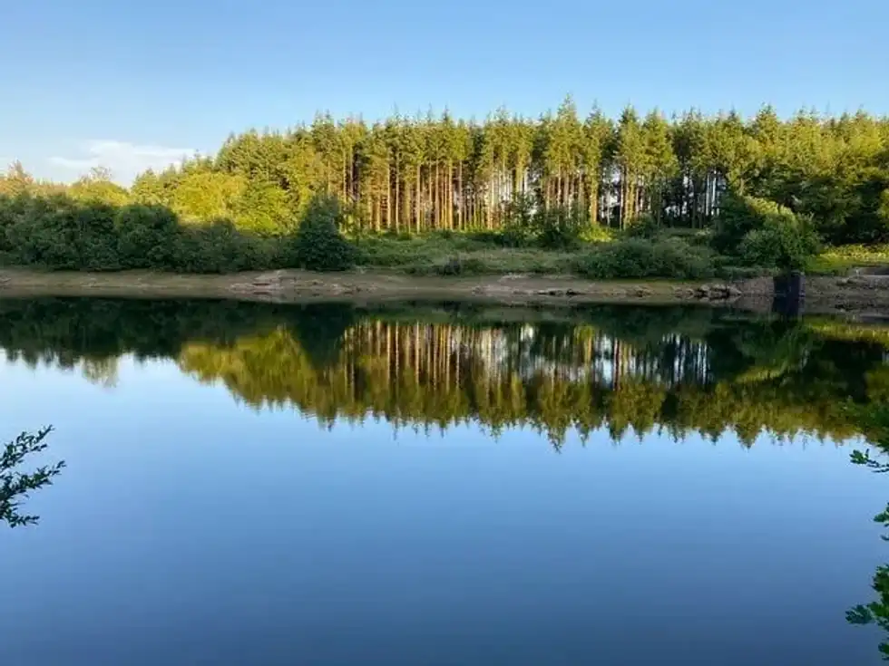 31 Dartmoor Facts: Impressive Details On National Park Disclosed