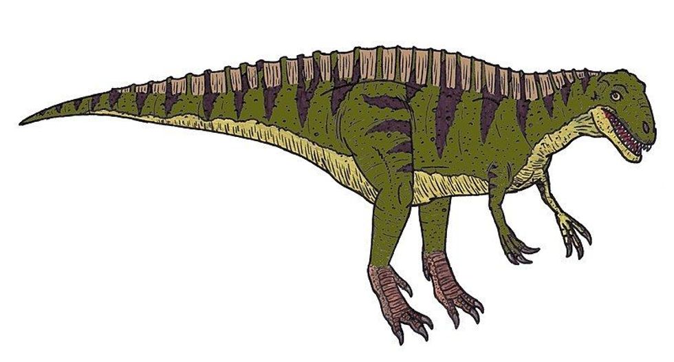 The behavior and character of this big and deadly dinosaur were very similar to the T-eex and Spinosaurus. Continue reading to discover more interesting Acrocanthosaurus facts that are sure to keep you hooked!