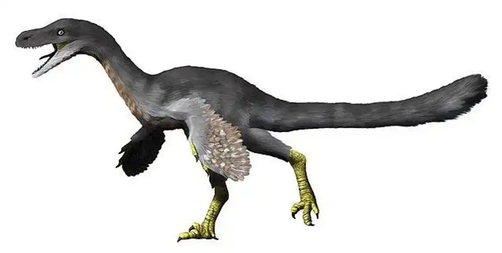 The best 15 Fukuivenator facts you will want to read twice.
