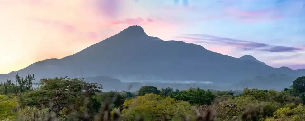 The breathtaking view of Mount Kilimanjaro and its surrounding forest area. Read through the following paragraphs to learn more about Mount Kilimanjaro facts.