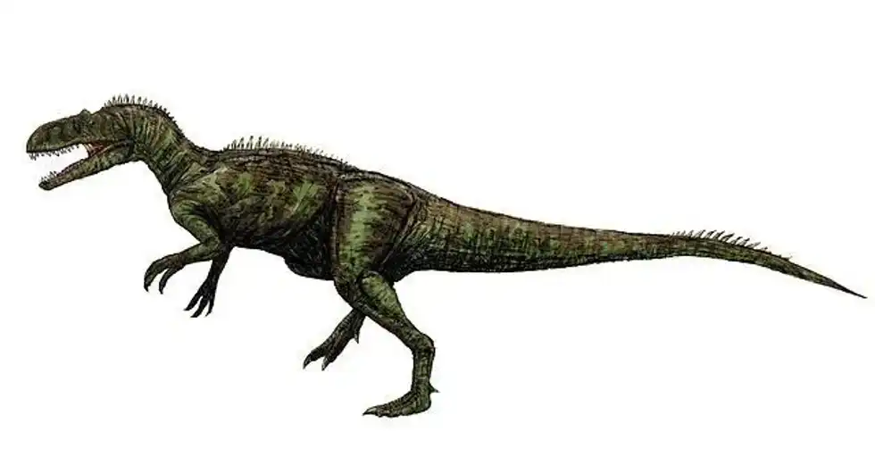 The Chilantaisaurus facts are an interesting way to uncover secrets buried millions of years ago