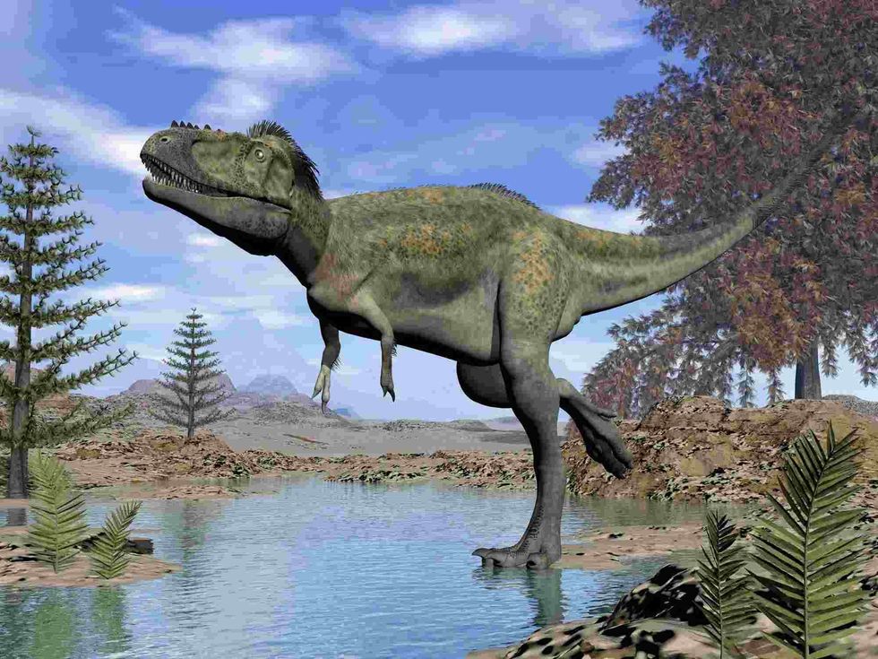 The discovered fossil bones consist of a partial skull