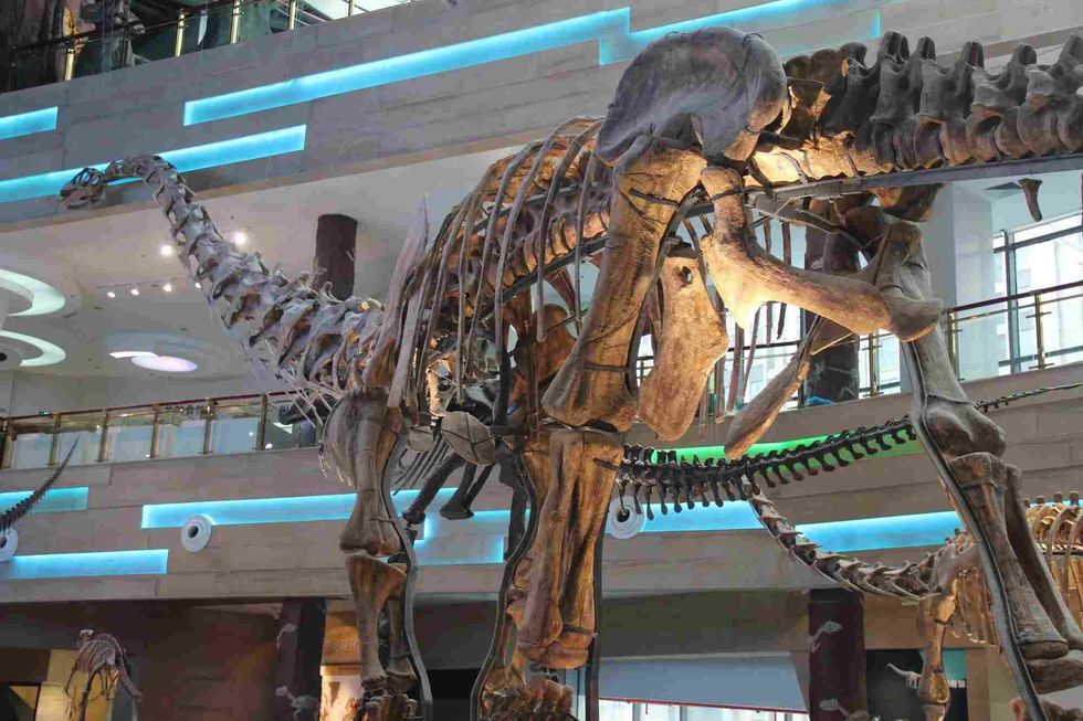 The exact lifespan of this sauropod is not known