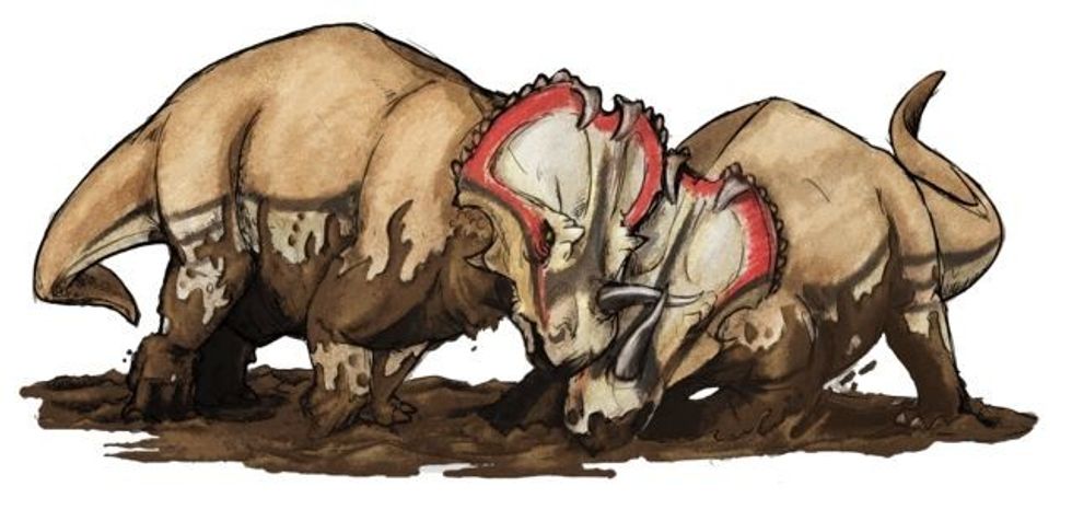 The fossil containing only the partial dental remains