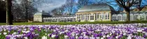 The Glass Pavilions at Sheffield Botanical Gardens with purple flowers in the foreground.