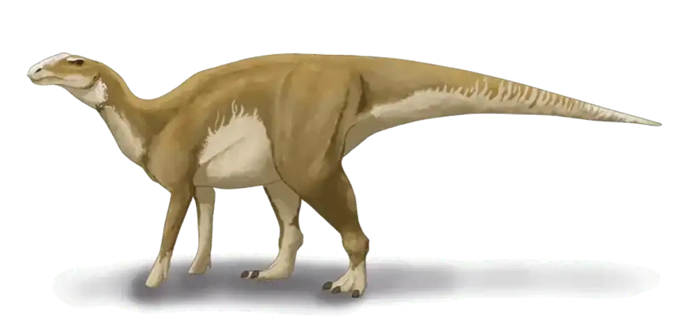 The Hadrosaurus was a duck-billed dinosaur, continue reading to discover more interesting Hadrosaurus facts!