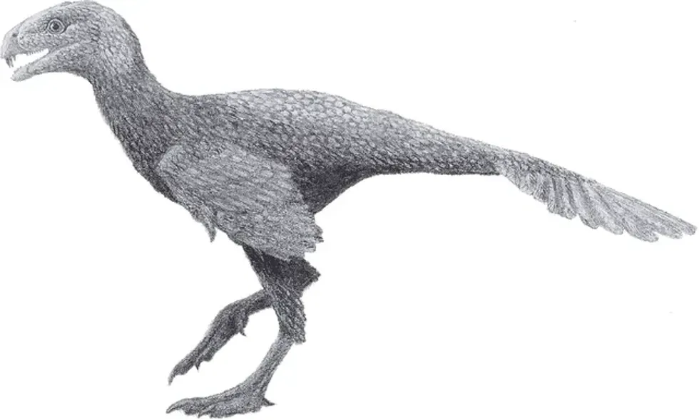 The Incisivosaurus facts will reveal a plethora of unique aspects about these oviraptorids
