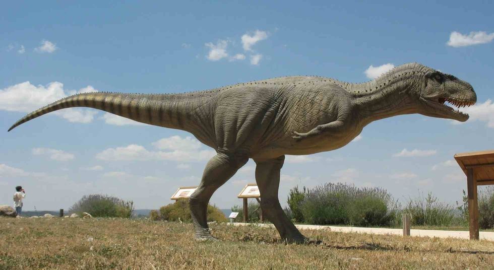 The lifespan of the Abelisaurus dinosaur has been unknown