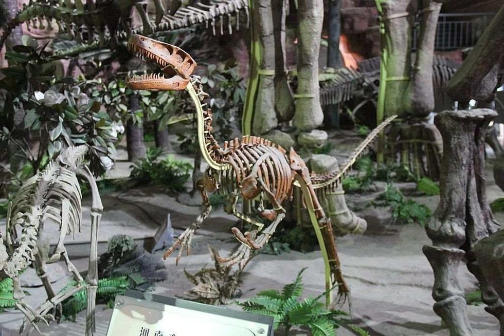 The Luachuanraptor was a theropod from the Late Cretaceous age.