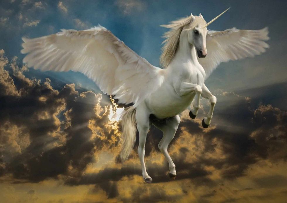 the national animal of Scotland