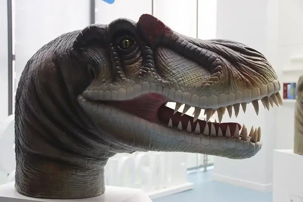 The Ojoraptorsaurus was found in New Mexico.