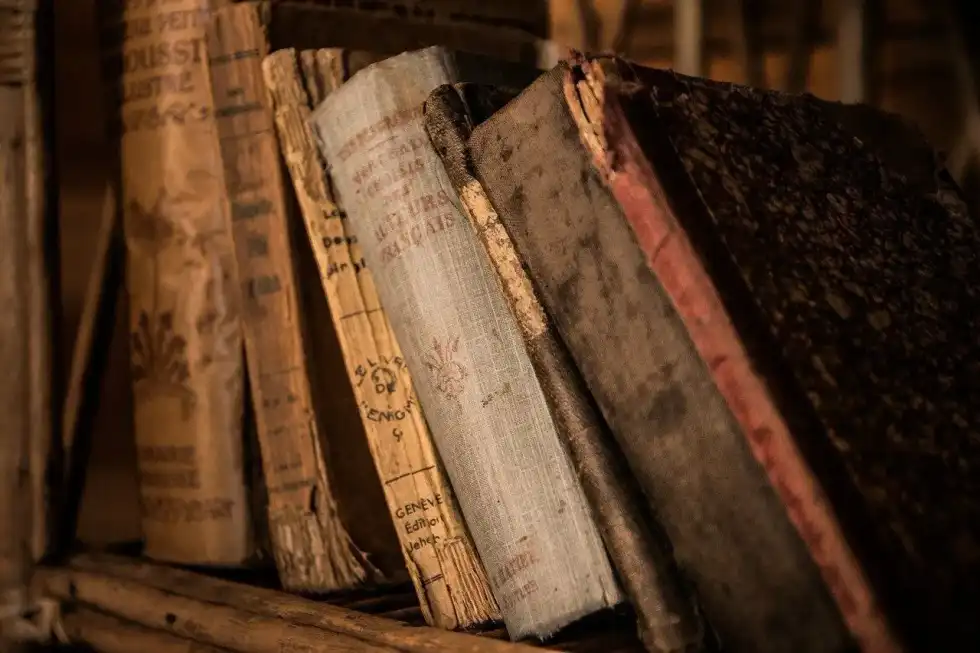 'The Pillars of the Earth' facts reveal that it is a long story about building a cathedral in Medieval England.