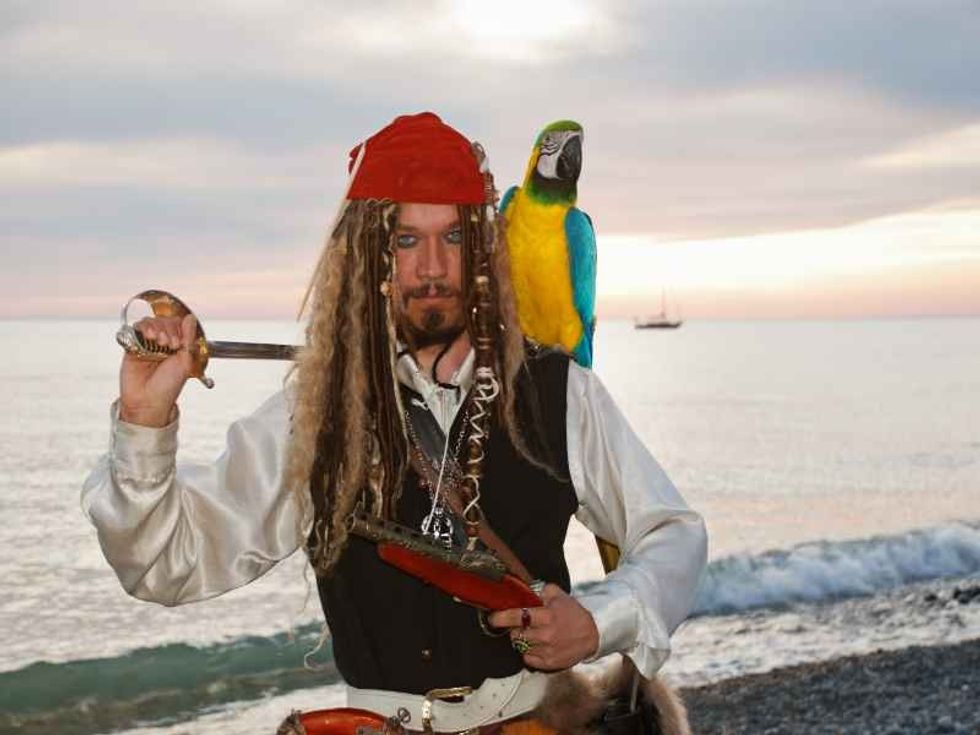 The pirate with a parrot on the seashore
