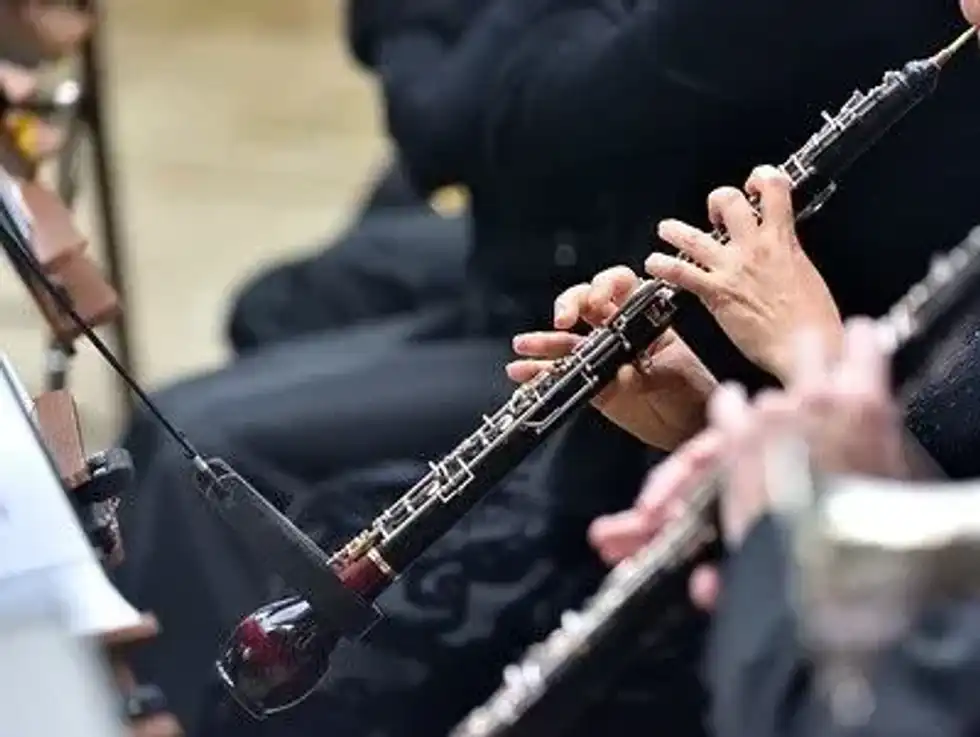 The pitch range of a cor anglais is two and a half octaves, let's find more cor anglais facts.