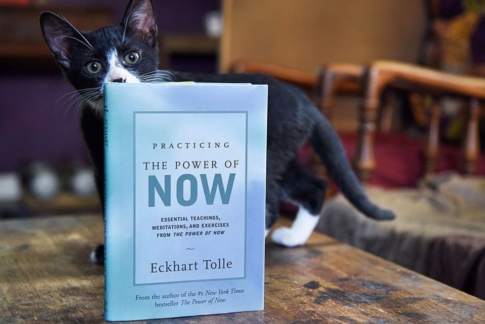 The Power of Now Book by Eckhart Tolle.