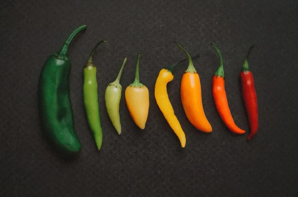 The ranking of the world's hottest peppers is constantly expanding. Learn more about the world's top 10 hottest peppers.