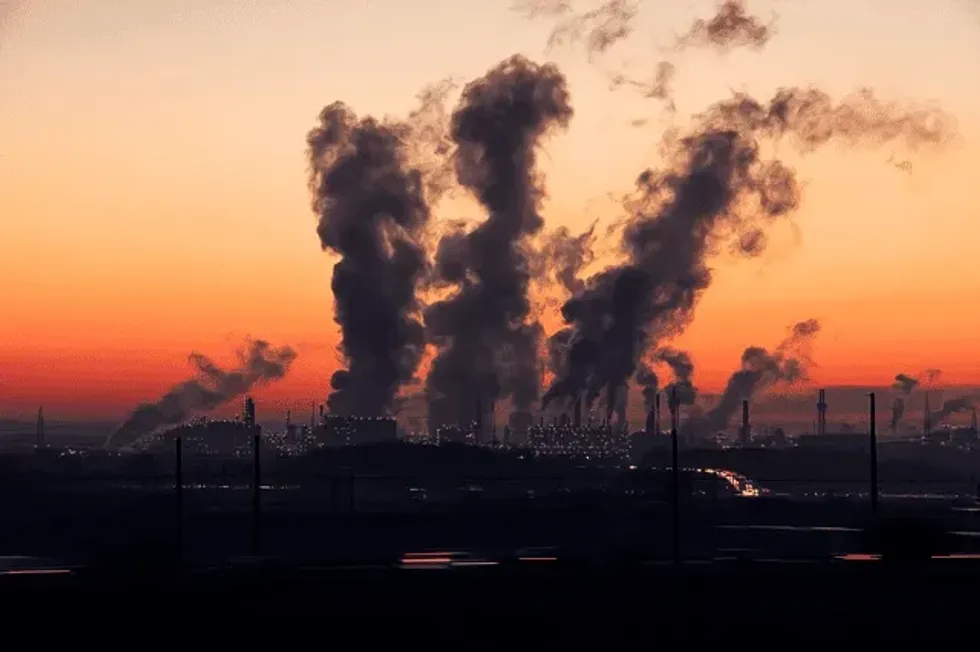 The rising levels of air pollution are having such devastating effects on life on Earth