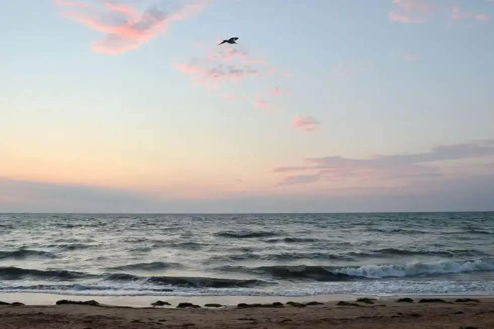 The Sea of Azov is one of the most uncommon water bodies in the world.