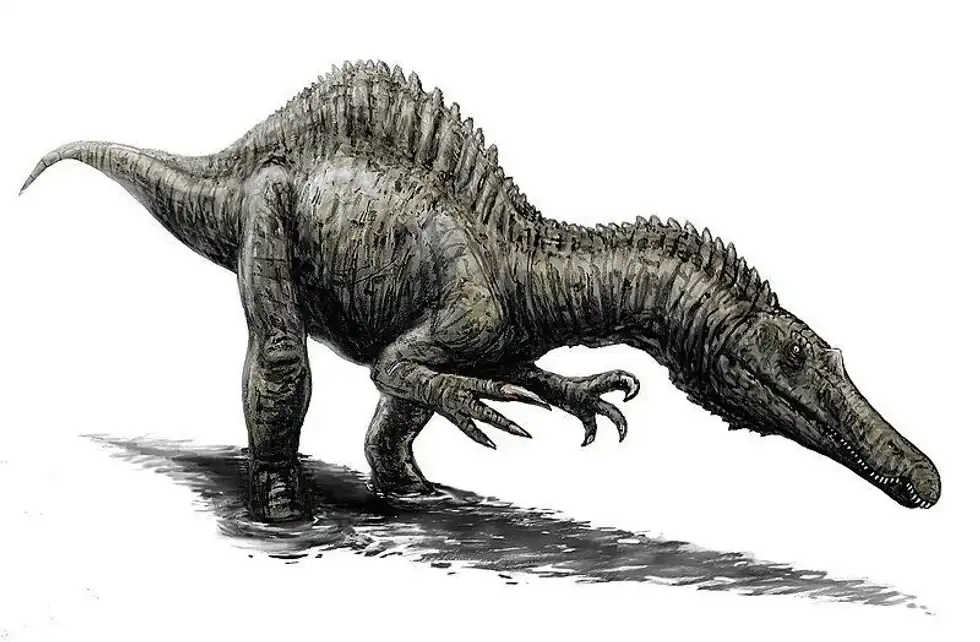 The Siamosaurus dinosaur is known only from its tooth fossil. Read on to discover more fun and interesting Sianosaurus facts!