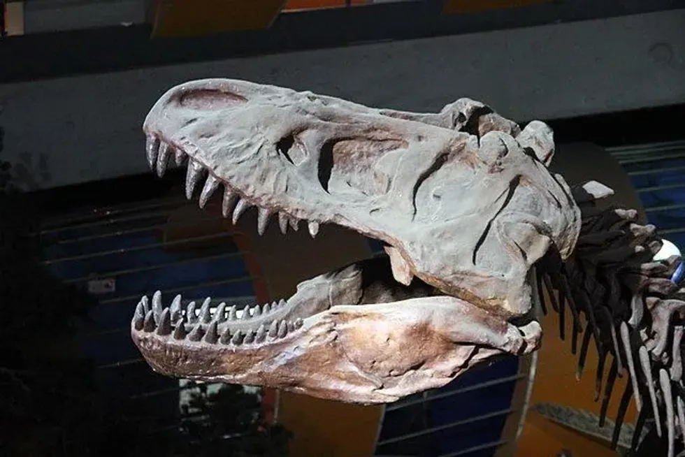 The size of this Aerosteon dinosaur is one of its identifying features.