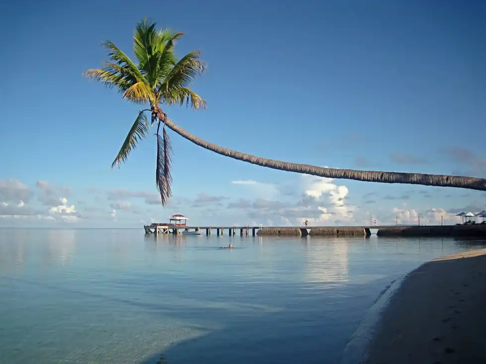 The southern border of Celebes Sea is present in Sulawesi's Minahasa Peninsula.