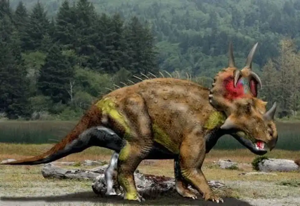 The Spinops facts that you might enjoy.