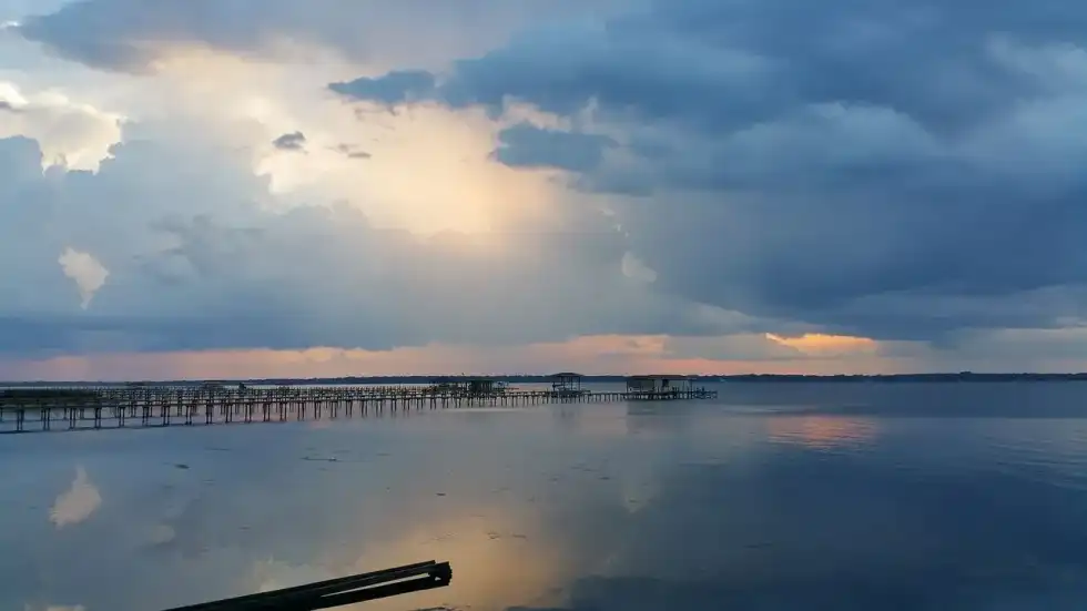 The St. Johns River of Florida is the longest one in the state. Learn more St.Johns River facts here.