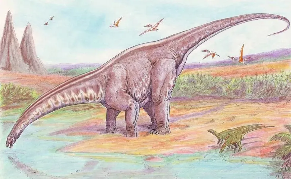 The Sulaimanisaurus was mainly found in the Pakistan region.
