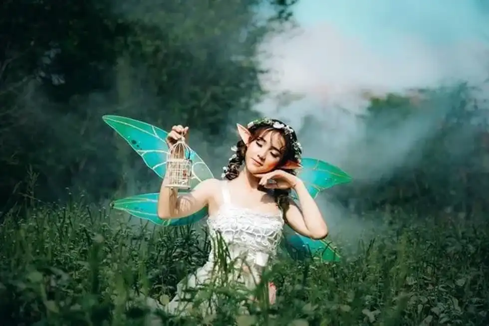 The tooth fairy is a mythical character from ancient folklore who lives in fairyland.