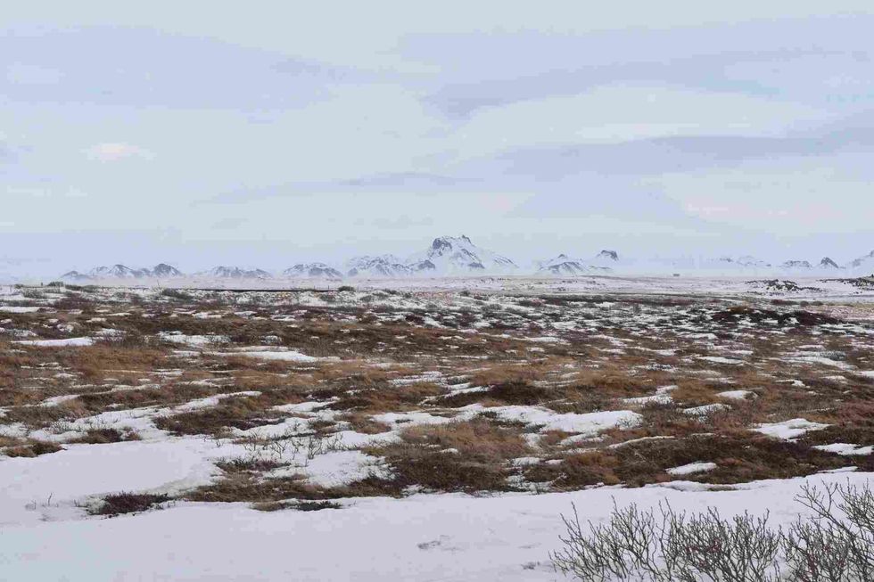 The tundra biomes are quite different from the ecosystems that exist in most other parts of the world