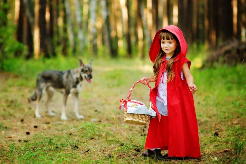 the wolf pursues the girl. the fairy tale " Red Riding Hood"
