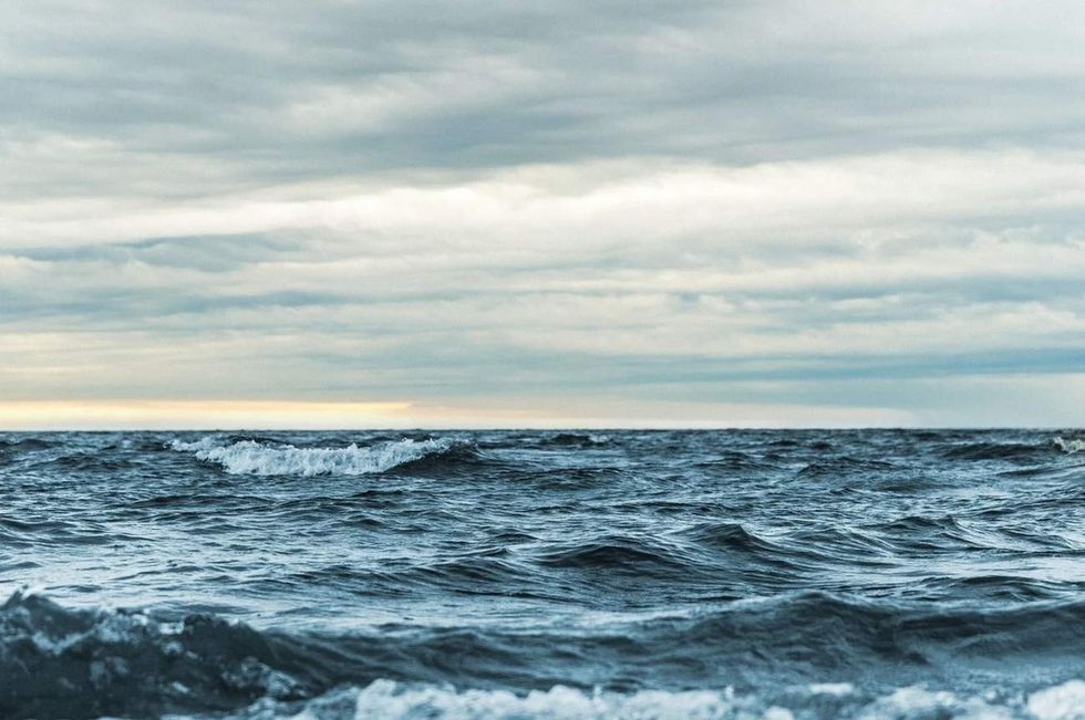 The world's oceans or seas are vast water bodies