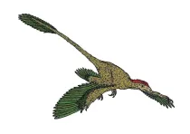The Xixiasaurus was discovered in China.